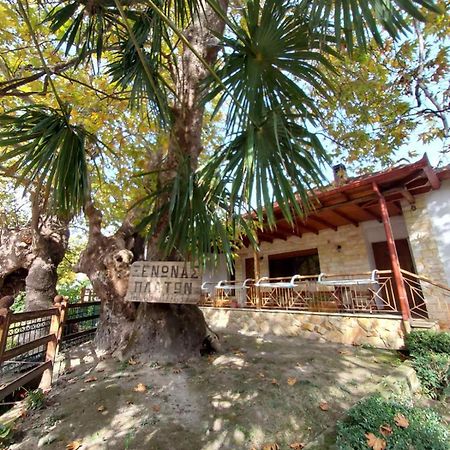 Guesthouse Platon Órma Екстериор снимка
