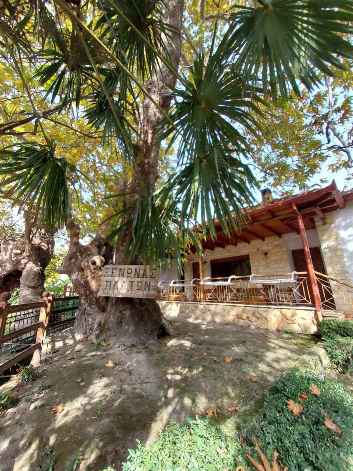 Guesthouse Platon Órma Екстериор снимка