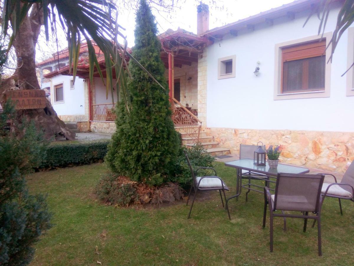Guesthouse Platon Órma Екстериор снимка