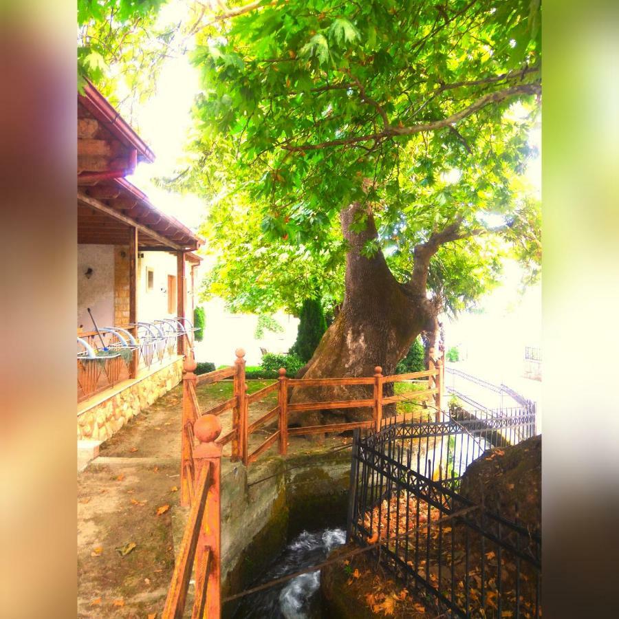 Guesthouse Platon Órma Екстериор снимка