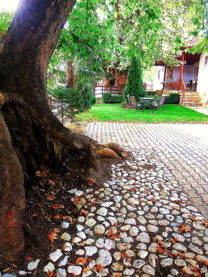 Guesthouse Platon Órma Екстериор снимка